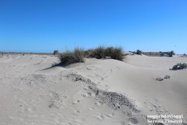 Plage de l'Espiguette
