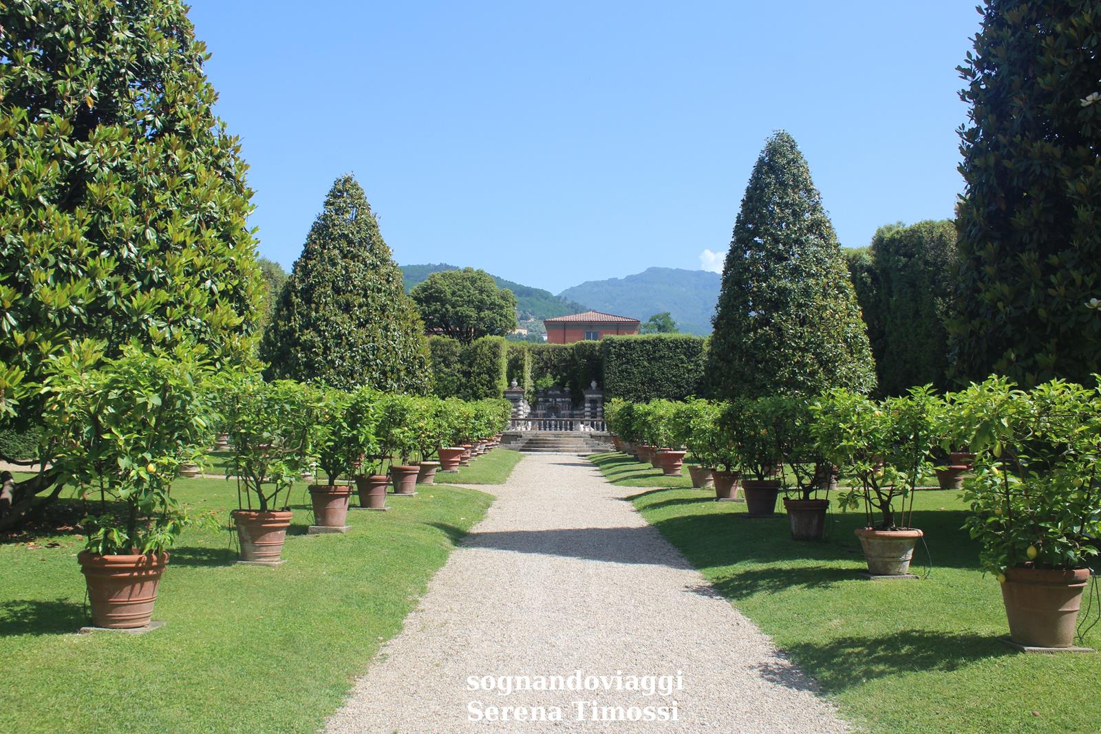 giardino dei Limoni villa di Marlia