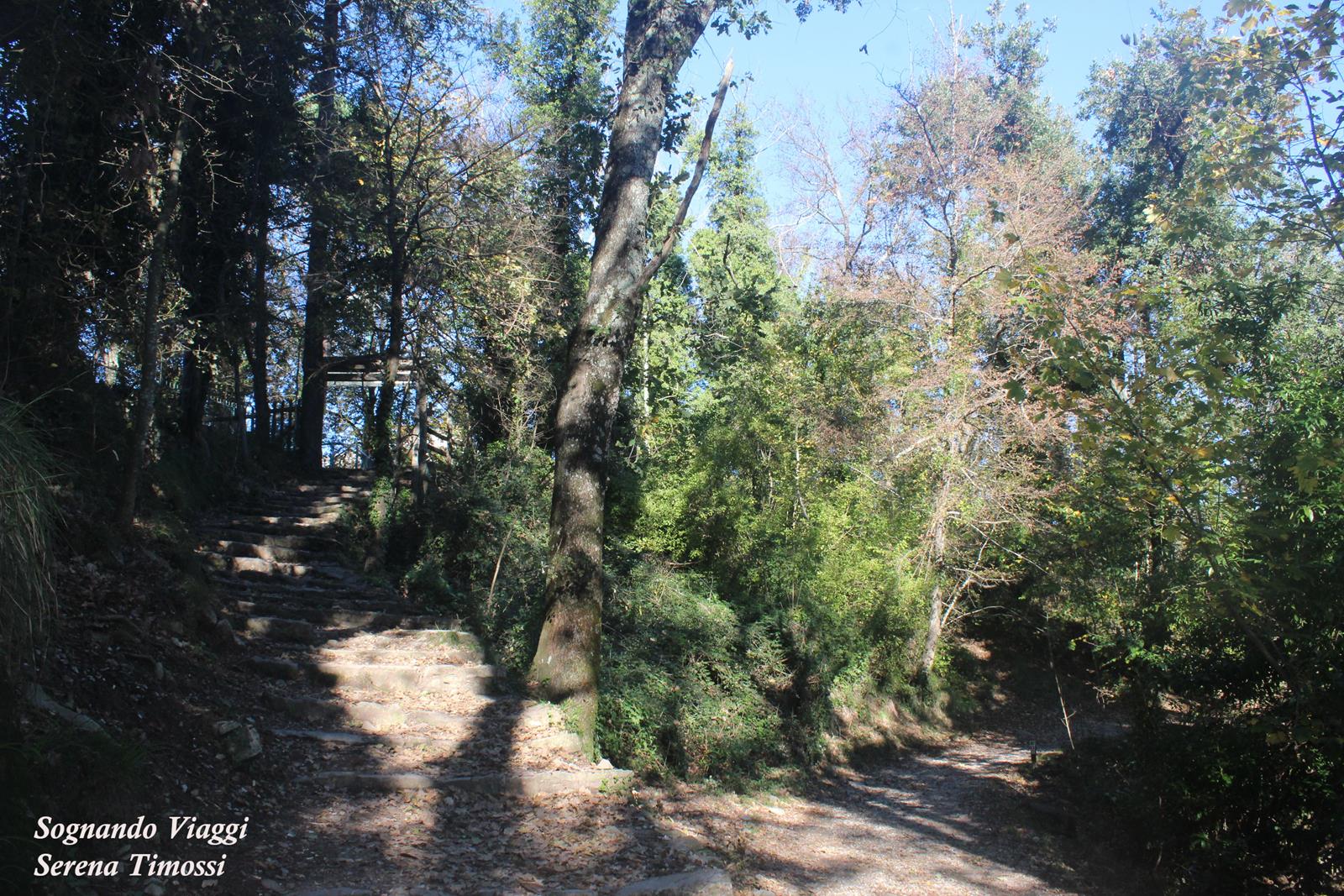 Parco di Portofino, l'inizio del sentiero