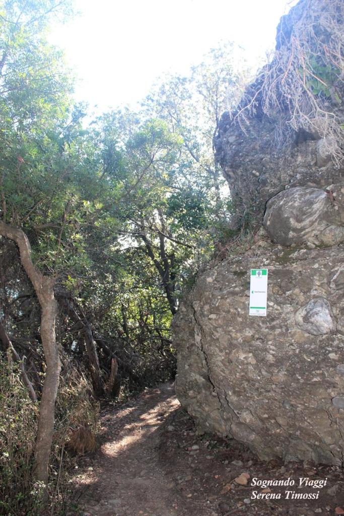 Parco di Portofino trekking